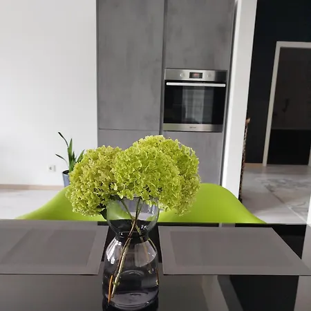 Gruene Oase Koeln Bonn Apartament *