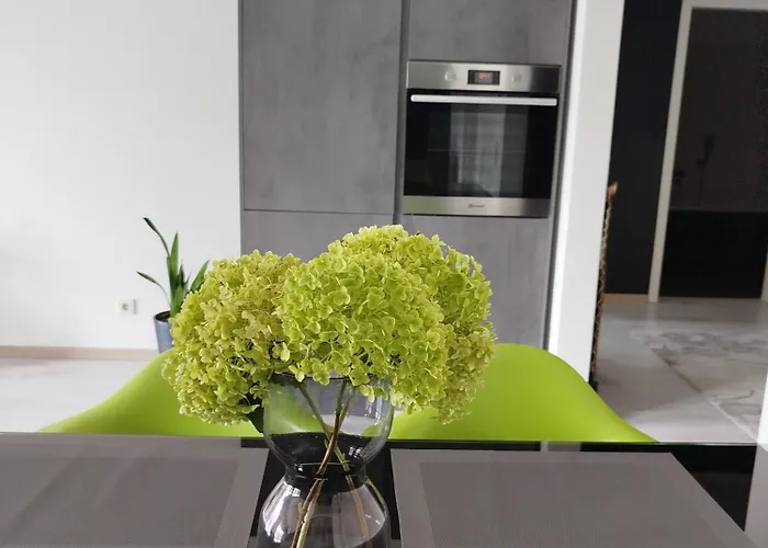 Moderne In Apartment *